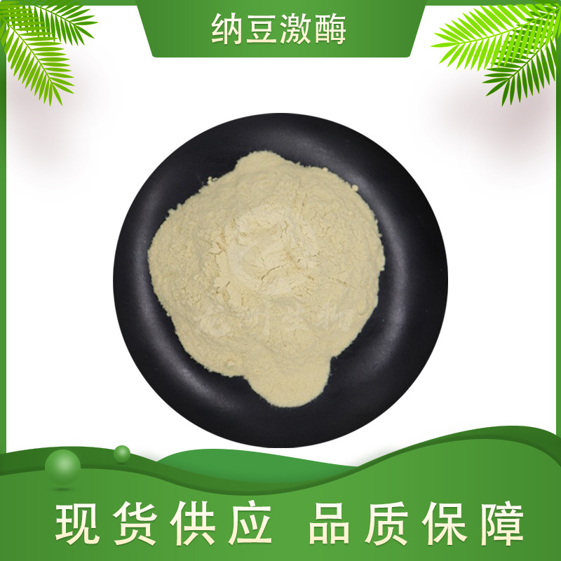 纳豆激酶 多规格 龙洲生物 纳豆提取物 厂家供应 纳豆粉100g/袋