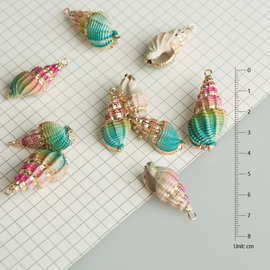 镀金贝壳海螺贝壳花纹 镀金边彩色海螺贝壳 耳环项链配件批发