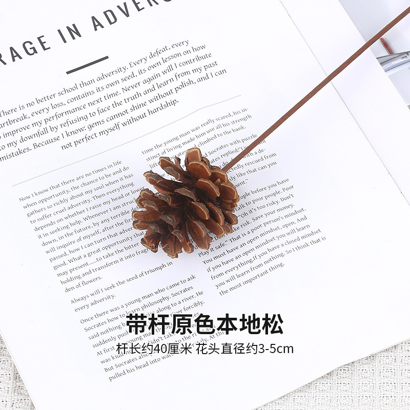 로드가 있는 오리지널 컬러 로컬 파인