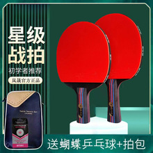 乒乓球拍十星级双面高弹胶皮初学者直拍横拍专业学生成人训练套装