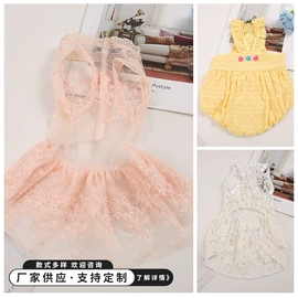 狗狗服装;鸟类;猫猫服饰