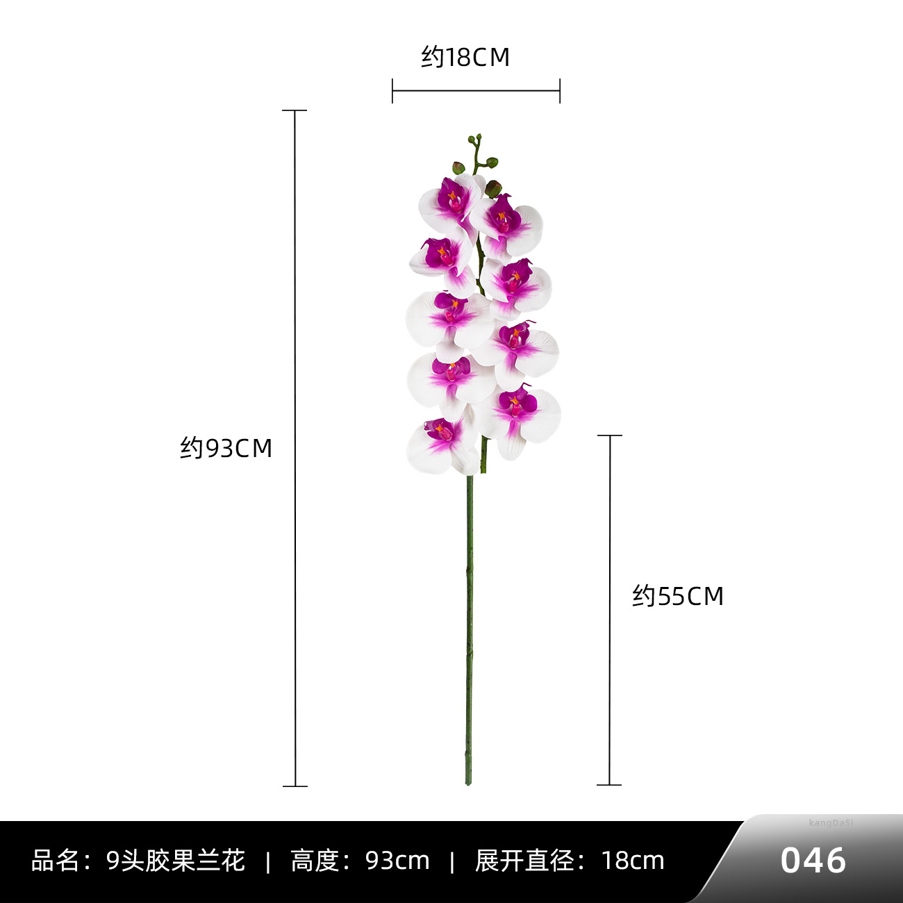 046 #9 헤드 껌 과일 난초