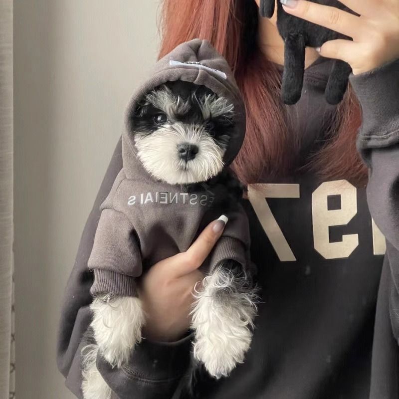 Dog Clothes Spring and Autumn Teddy Sherina Small Dog Yorkie Internet Celebrity Dog Autumn and Winter Pet Fleece Sweatshirt Cat