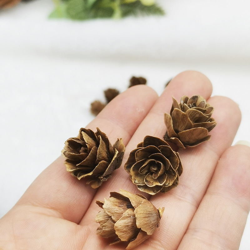 Mini Pine Flowers, Small Fallen Leaves, Pine Flowers, Pine Nuts, 1-2cm Pine Nuts, DIY Raw Materials, Christmas Decorations, Manufacturer Wholesale