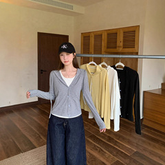 2025年秋装新款胖mm大码女休闲百搭撞色假两件连帽长袖气质上衣