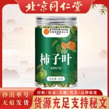 北京同仁堂柿子叶 泡水柿子叶便携柿子叶抖音爆款柿子叶现货无痕