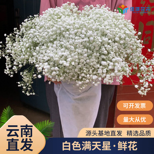 �M�����r���������ֱ�l��ɫ�M�������l���r����˹���f�ǻ�c����