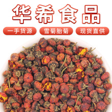 新疆产雪菊胎菊昆仑雪菊胎泡水喝花茶雪菊胎厂家散装批发一手货源