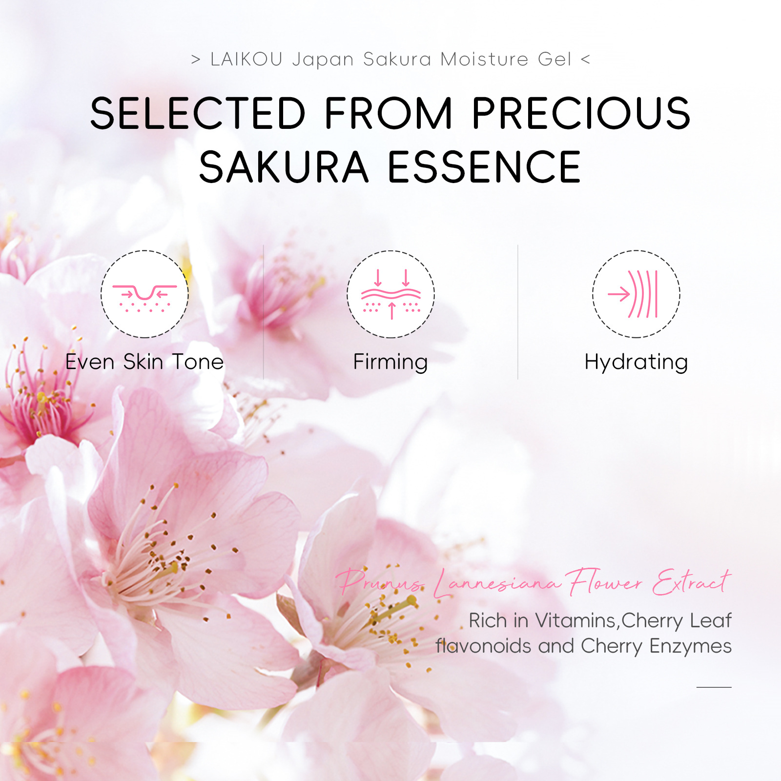 Cross-border Laikou Cherry Blossom Hydrating Cream 60g Facial Skin Hydrating, Moisturizing and nourishing English packaging wholesale manufacturer undefined