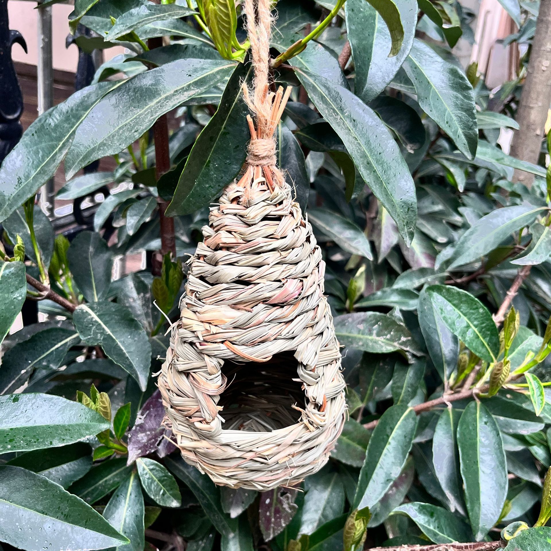 Nido de pájaro tejido de paja hecho a mano creativo cañas tejidas con hierba nido de pájaro casa de pájaro decoración de jardín nido de pájaro mascota al por mayor