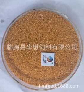 ���׾ƾ��� ľ������ ơ���� �׾���