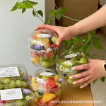 果切杯一次性菠萝西瓜水果分装桶冰沙水果捞沙拉专用碗干果坚果杯