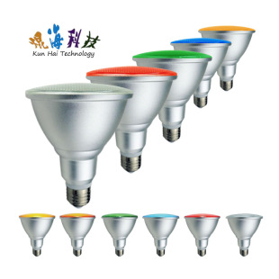 PAR30 �����X��� �tɫ �Gɫ �{ɫ �Sɫ�Ͱ�ɫ�Ȳ�ɫ����� �b�