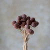 Coffee color (a bunch of 20 pieces)