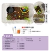 Colorful Forest---Small breeding set