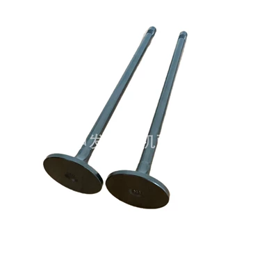 K11 intake valve – Valves and components