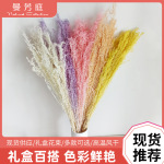 米蒿草干花插花香薰diy配材家居摆件婚庆装饰真花永生花米蒿批发