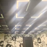 Custom Curved Linear LED Light 弧形线型灯Architectural Suspe