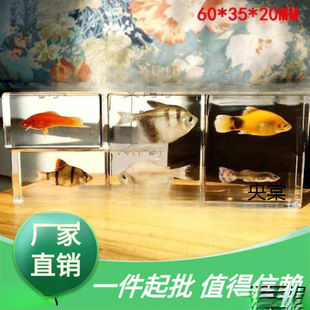��������Ꭷ4�ľ�з�~�r�˱����{ɫ����¿��~��з��������