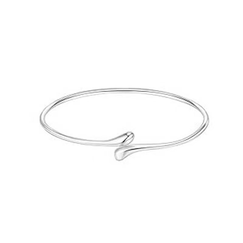 화이트 k 단일 루프 모델