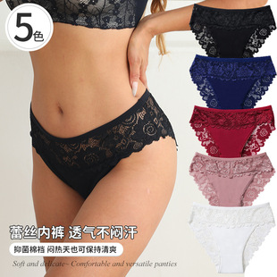 �羳����2026�����¿�͸��o�ۻ����ٽz��ѝŮʿ���m�����T���ѝ