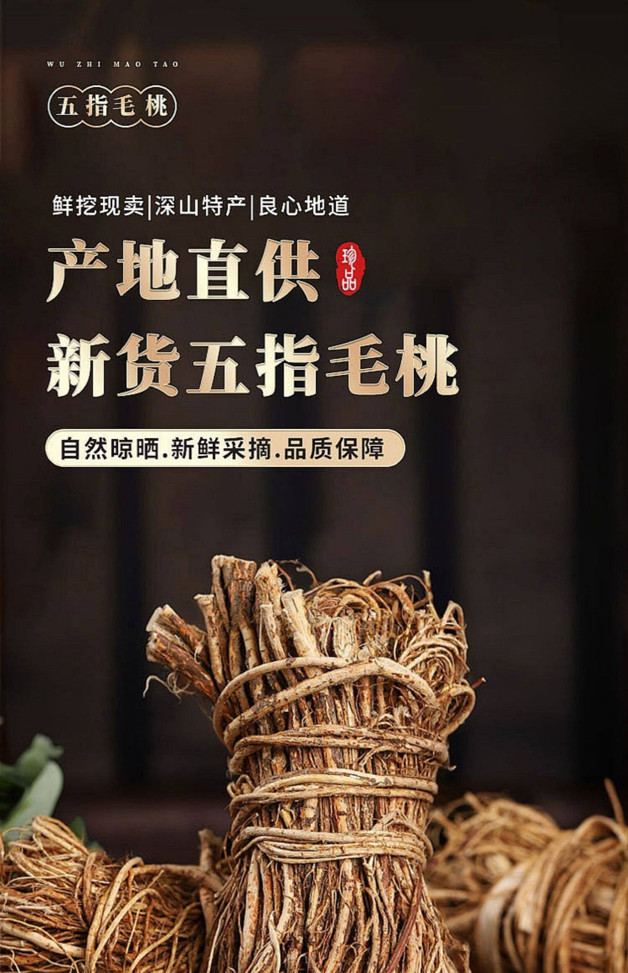Wu Zhi Mao Tao Five-Finger Fig Root Soup Herb 500g Dried Thin Roots Bundle Guangxi Guangdong overview