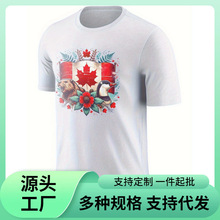 ���W�a��T���͹ż��ô���~��  - ��ɫ S- ��¹�c���~�D���t