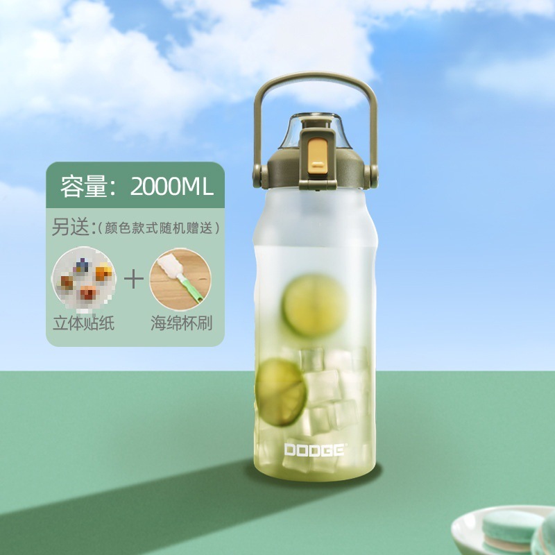 2025新款水杯大容量便携磨砂塑料杯子儿童吸管耐高温学生运动中式|undefined