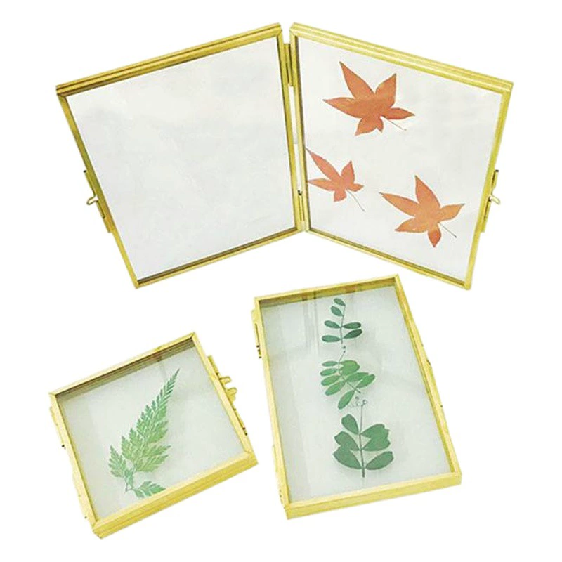 Скандинавская стеклянная фоторамка двойная складная минималистская металлическая фоторамка для показа карты образец растения для демонстрации прозрачной фоторамки