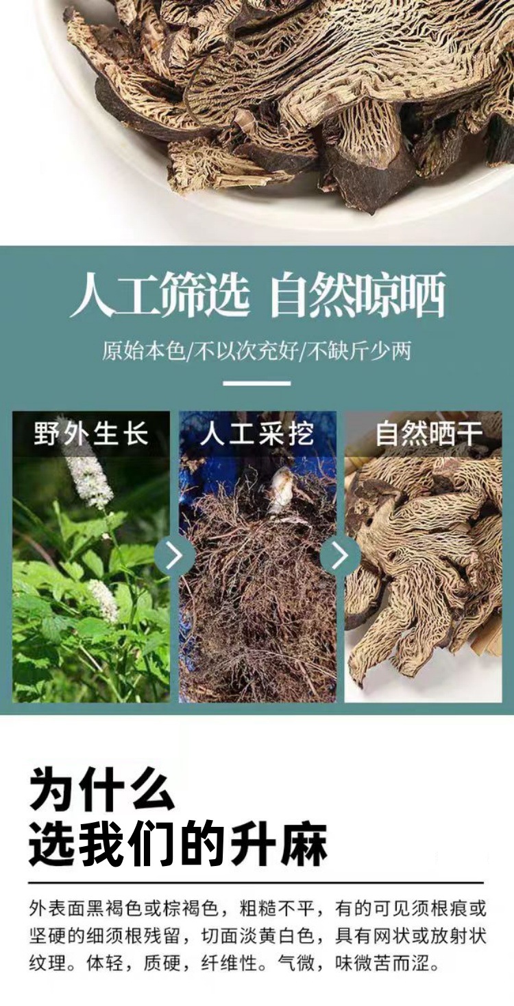 Sheng Ma Powder (Cimicifuga foetida) — Northeast-Grown Dried Herb, 500g key features