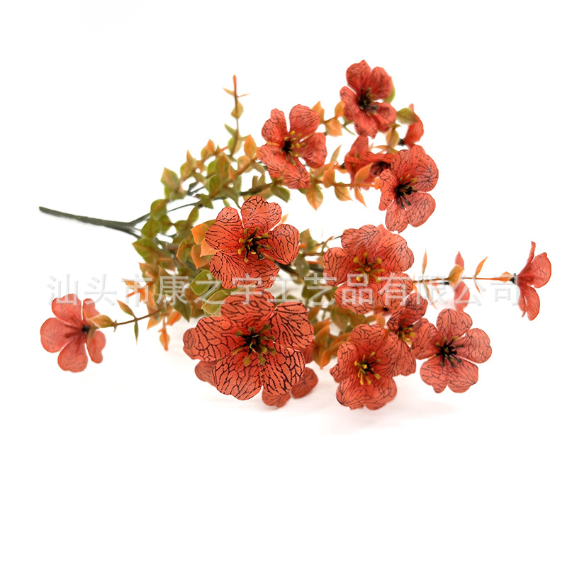 유칼립투스 보라색 가을 잔디 가을 붉은 꽃