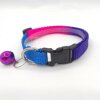 Colorful choker, small bell, pet, cat