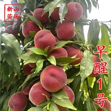 ������1̖�Ҙ��硿��ͮ����̵͜������ɏV�|�V��̨�r���Ә���