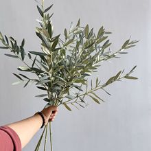 �߷���ë�{�ϙ��~���ϙ�Ҿ��b�c�Ƶ�廨�����¿�羳�ϙ�֦