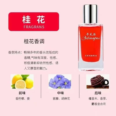 Outlet Freshener Odor Eliminator — Other Automotive Interior Supplies - 30ml-replenishing-solution-osmanthus