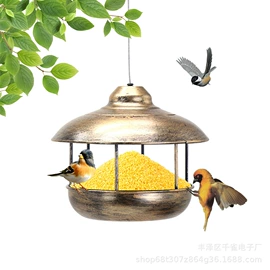 鸟笼;喂食器;鸟类