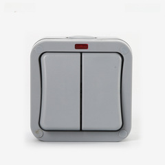 Manufacturer supply outdoor waterproof switch with indicator light for outdoor work sites, dual control, rainproof, surface-mounted switch