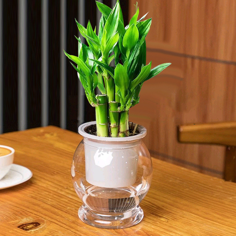 25091347-1f38-44f2-8ee2-4957dc94e976.jpe