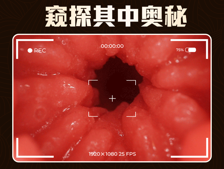 Jiuai Manual Male Masturbator Cup with Large Breasts and Insertable Vaginal and Anal Molds — detail image 20