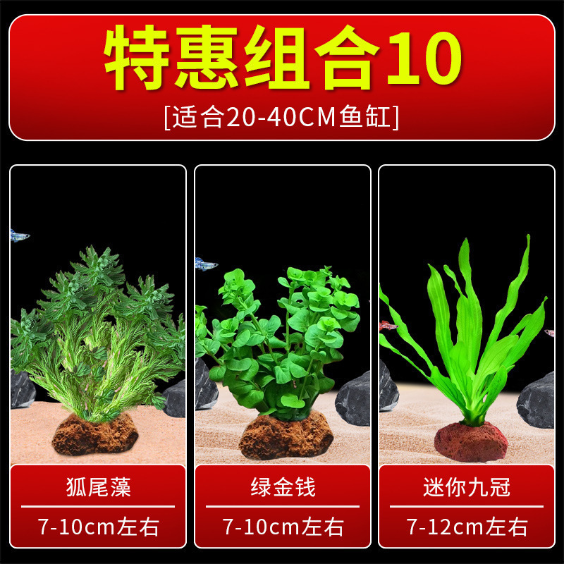 火山石水植物鱼缸净化水质懒人造景摆件全套底砂套餐性真|undefined