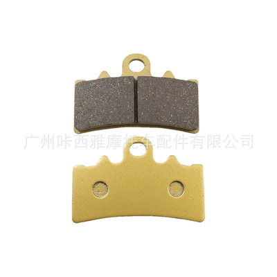 Suitable for Bmw G310 R/Gs G310R 310Gs 17-21 Motorcycle Front and Rear Brake Pads (Tormoz supportları) - 1-pair-of-front-brake-pads