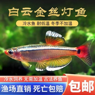 ��ˮ�~��녽�z�^�p�~���ֺ��B�׻���Ҝذ�녽�z�~С�ͻ��w�~