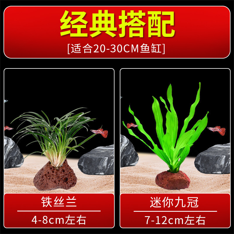 火山石水植物鱼缸净化水质懒人造景摆件全套底砂套餐性真|undefined
