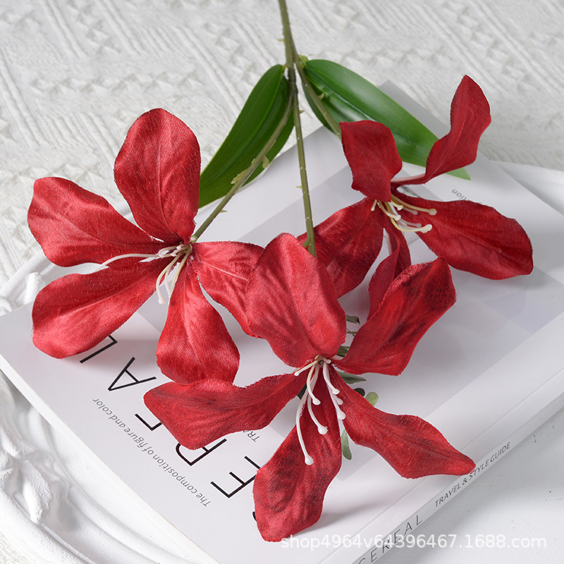 3 flame orchids bright red