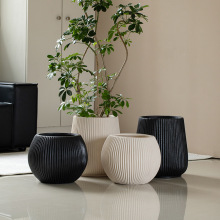 ���W�V����ش���O���A���ξGֲ�����͏d�����̈��e���[������