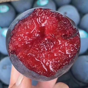 ��������� �ڲ��������� �ڲ����� �ڲ��֘��� �޽ӹ�����������