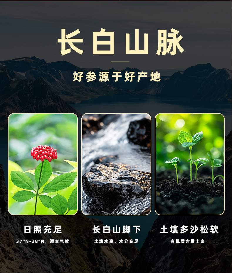 Changbai Mountain Forest-Grown Ginseng 7-10 Year Wild-Simulated Ginseng Gift Box 10g Dried Root for Tea and Wine Soaking quality and texture