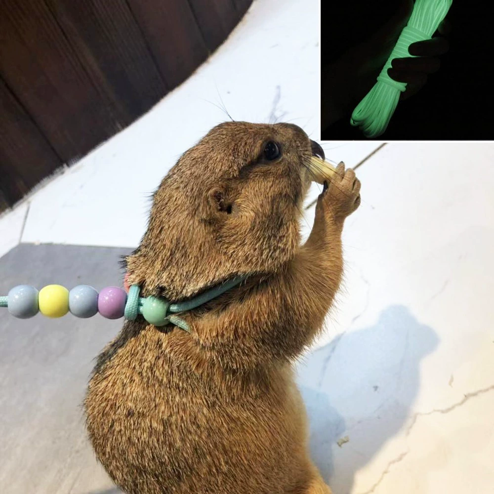 Маленький домашний кролик Сетка Красный сурок маленькая ароматная свинья светящийся Тяговый ремень из веревки тяга для маленьких домашних животных