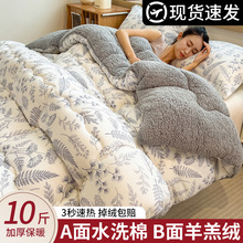 牛奶羊羔绒毛毯加厚保暖冬季被子午睡沙发盖毯被芯棉被冬被春秋被