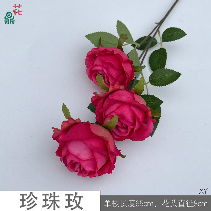 펄 로즈 XY 로즈 레드